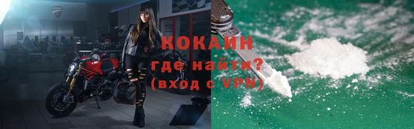 крисы Баксан