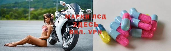 крисы Баксан