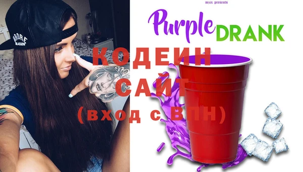 крисы Баксан